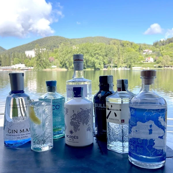 Gin Selection