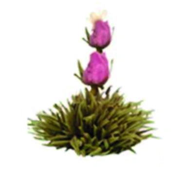 Fiore Blooming Tea Elevation aperto