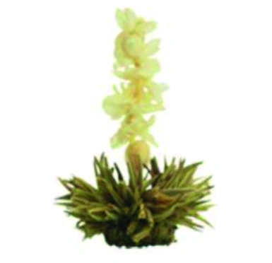 Fiore Blooming Tea Serenity aperto